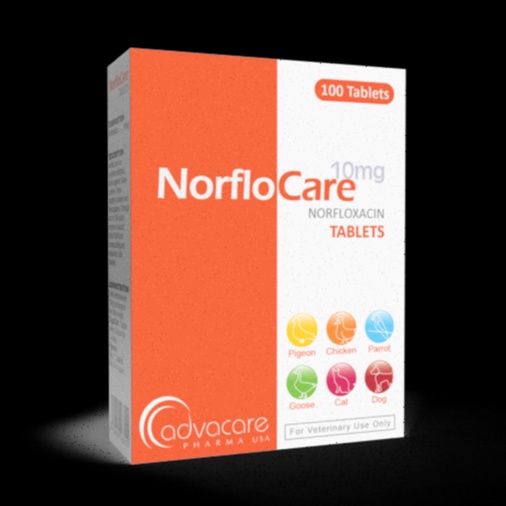 norfloxacine